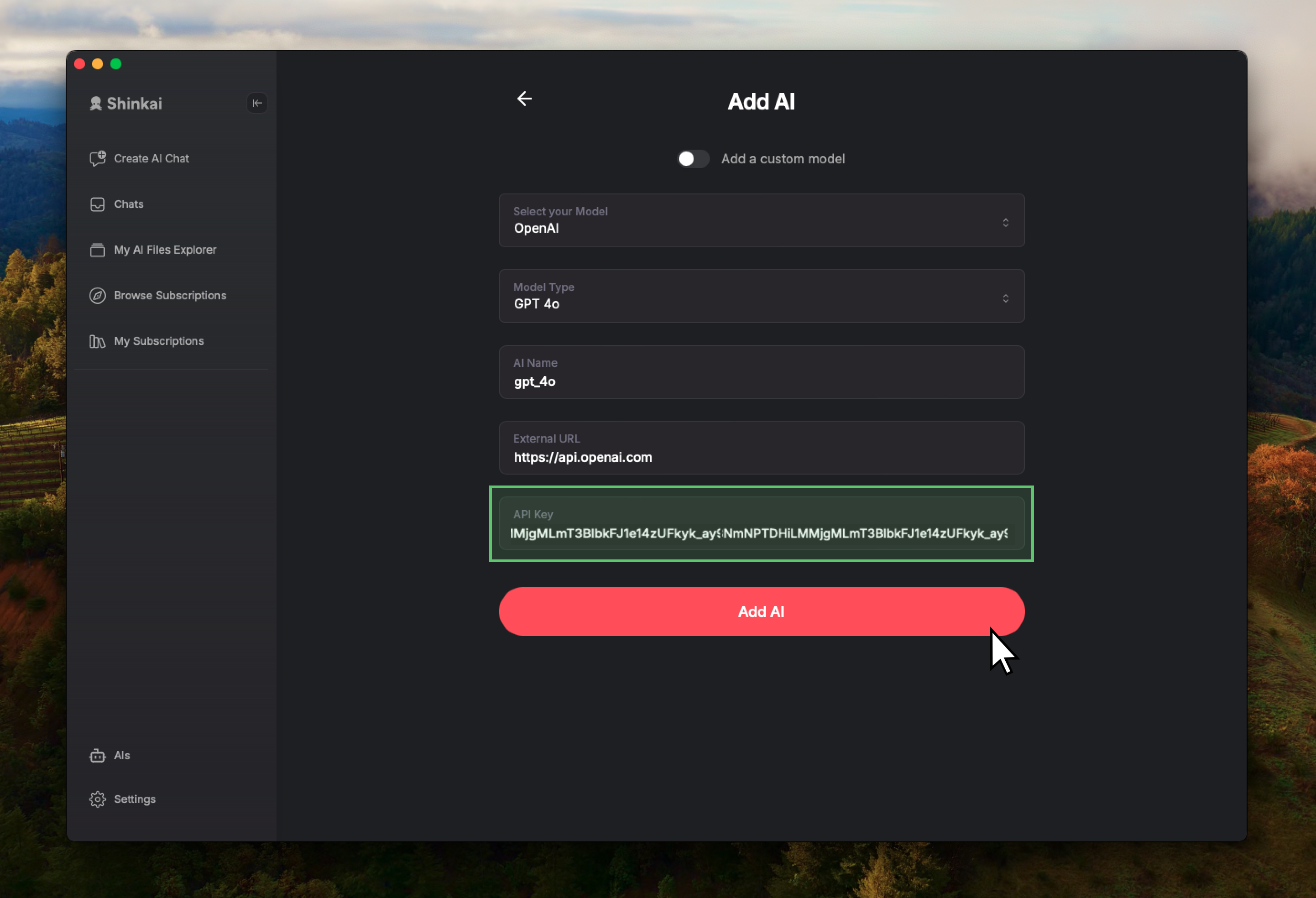 Paste API key in Shinkai